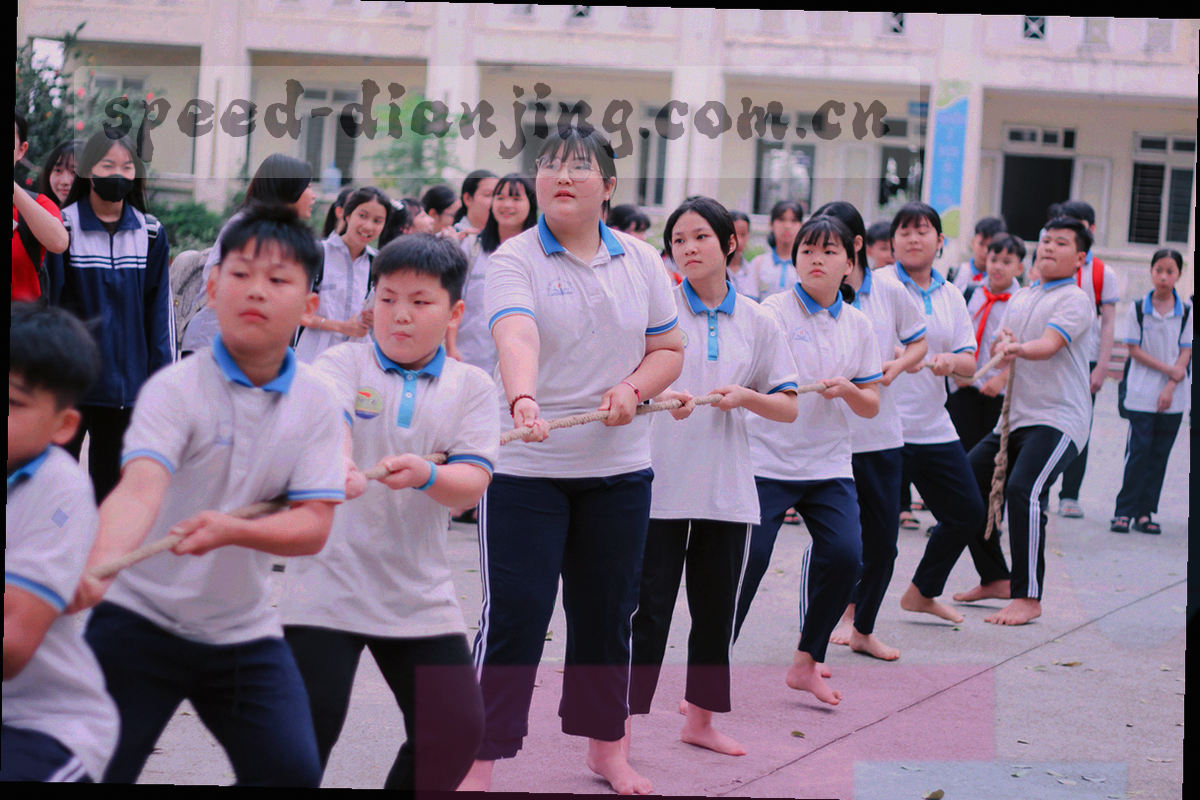 青紫色经济曲线在网格上交叉并分段高亮的抽象图形